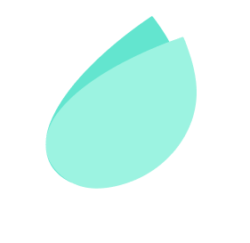 Aspect Plan Icon